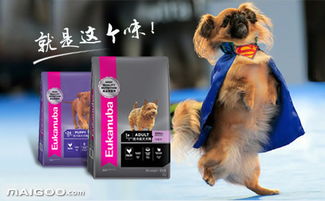 2018年宠物食品十大品牌加盟店排行榜与行业趋势分析