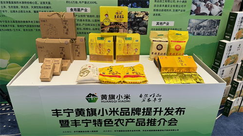 丰宁黄旗小米品牌发布暨特色农产品推介会在石家庄举办